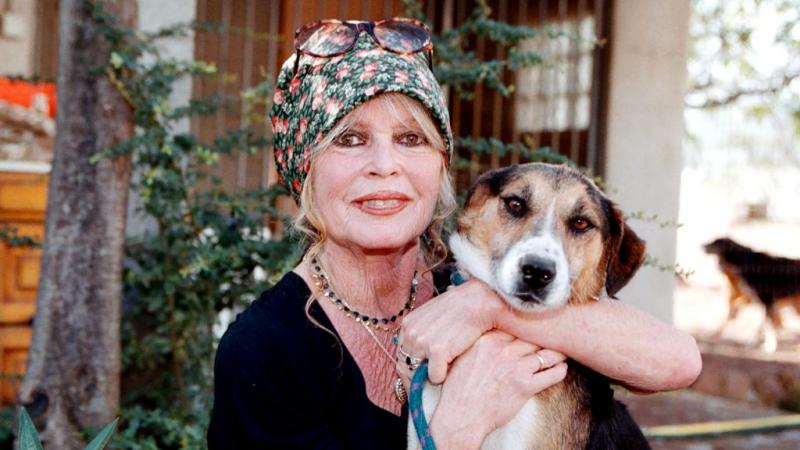 Brigitte Bardot kórházi ellátásra szorult egy 
