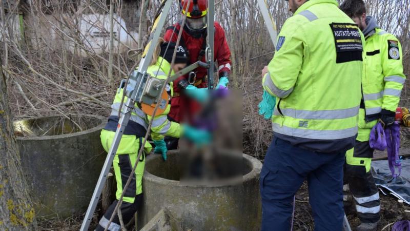 Ügyvédek támogatásával sikerült megszereznie a végrehajtás alatt álló ingatlanokat.