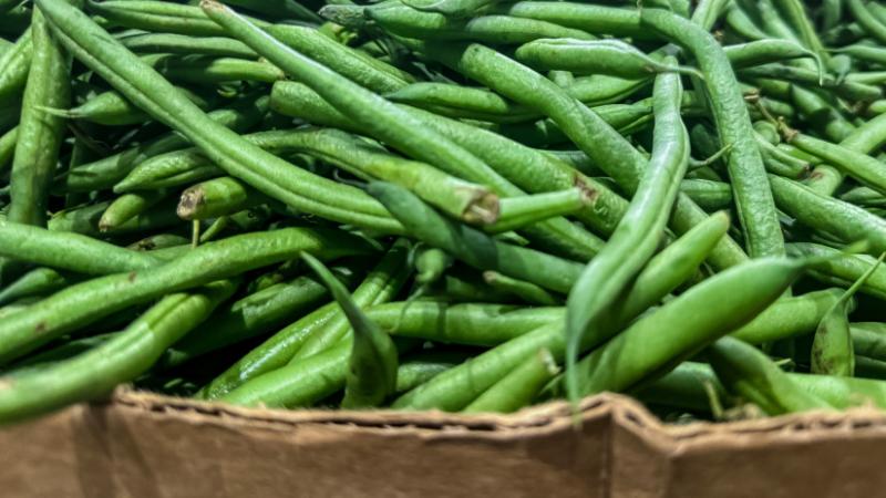 Elképesztő áremelkedés tapasztalható a lengyel zöldségpiacon: vajon mi áll a háttérben? - Agrárszektor